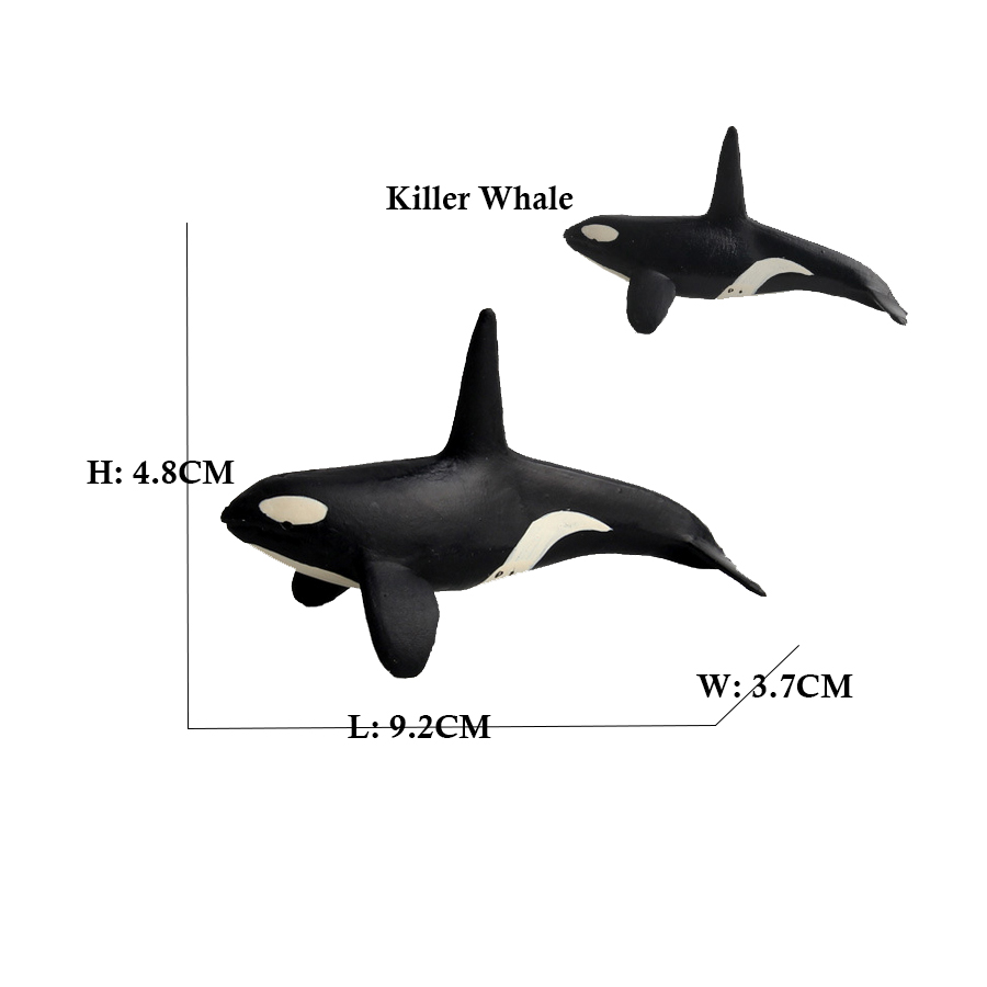 Endangered สัตว์ทะเลตุ๊กตา Kil - Kids Toys Under $10 บทวิจารณ์และราคา