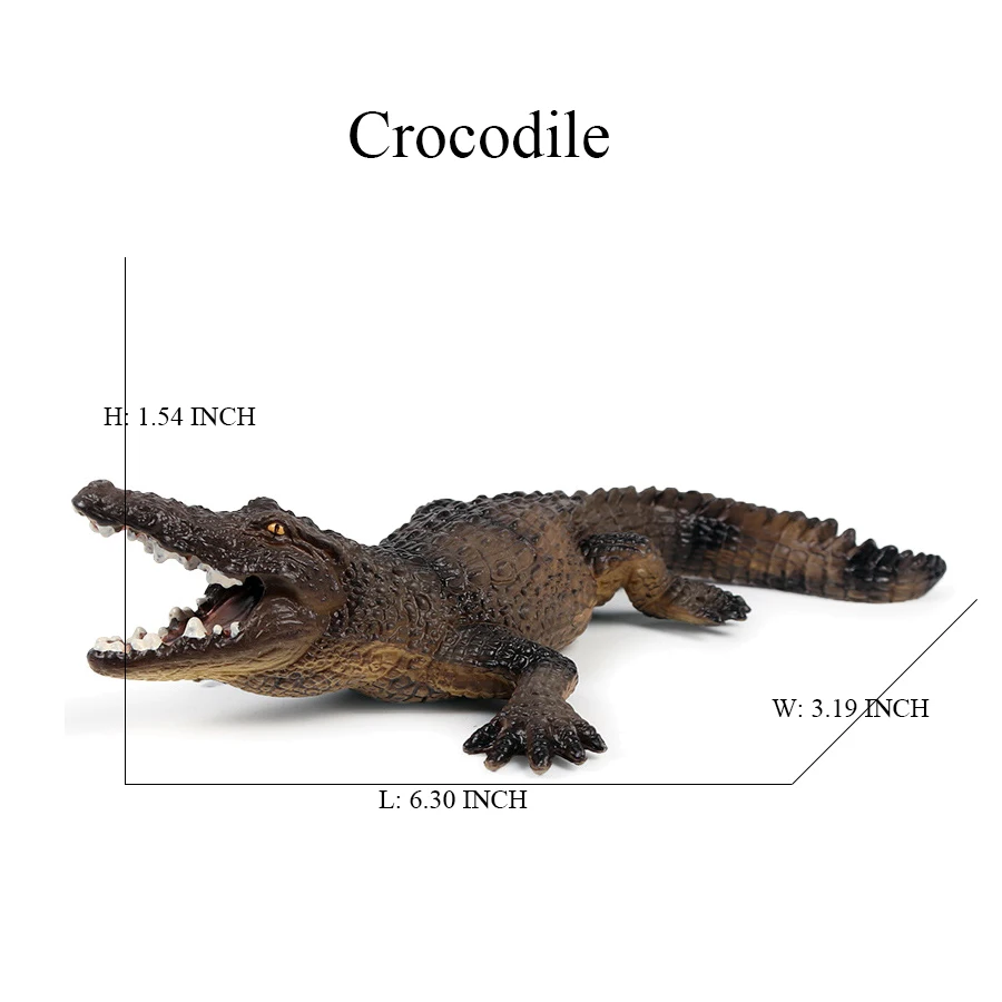 พลาสติกโมเดลกิ้งก่าของเล่นอิกั - Kids Toys Under $10 บทวิจารณ์และราคา